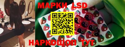 сатива Новодвинск