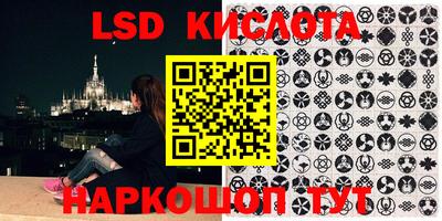 сатива Новодвинск