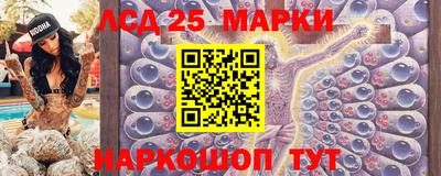 шишки Новозыбков